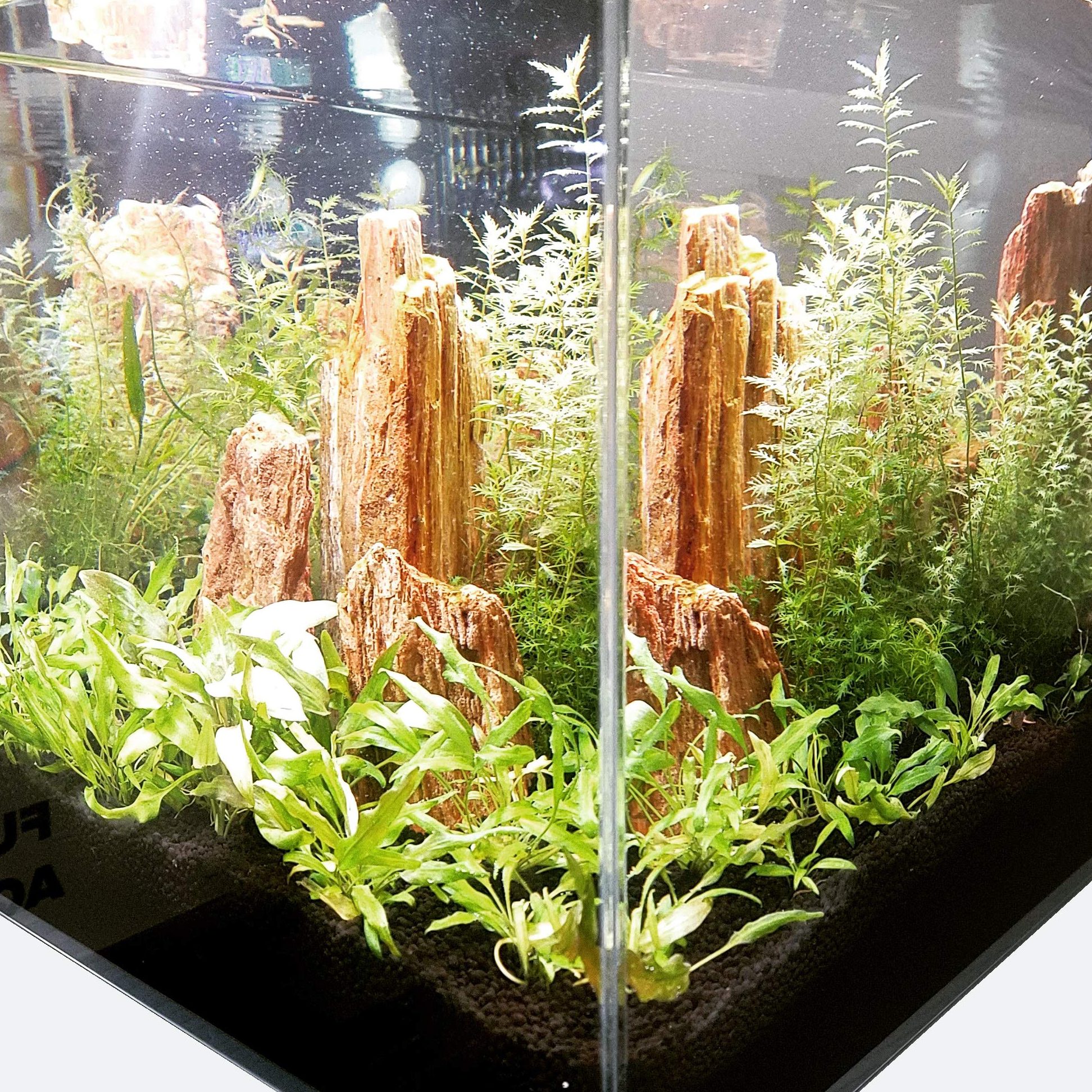 26.BEST AQUARIUM CRYSTAL 1 26 best aquarium crystal