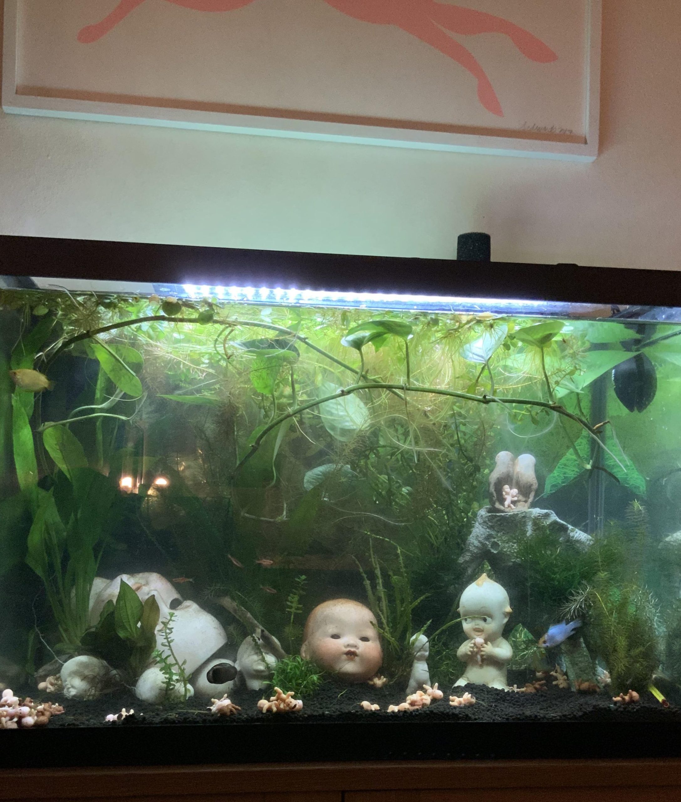 83 Pets Aquarium 宠物水族馆 1 83 pets aquarium e5aea0e789a9e6b0b4e6978fe9a686 scaled