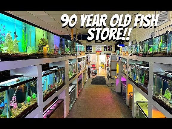 90 AQUARIUM AND PET SHOP 1 90 aquarium and pet shop