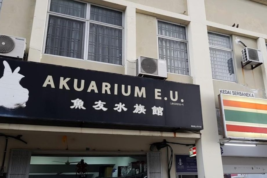 akuarium e u e9b1bce58f8be6b0b4e6978fe9a686