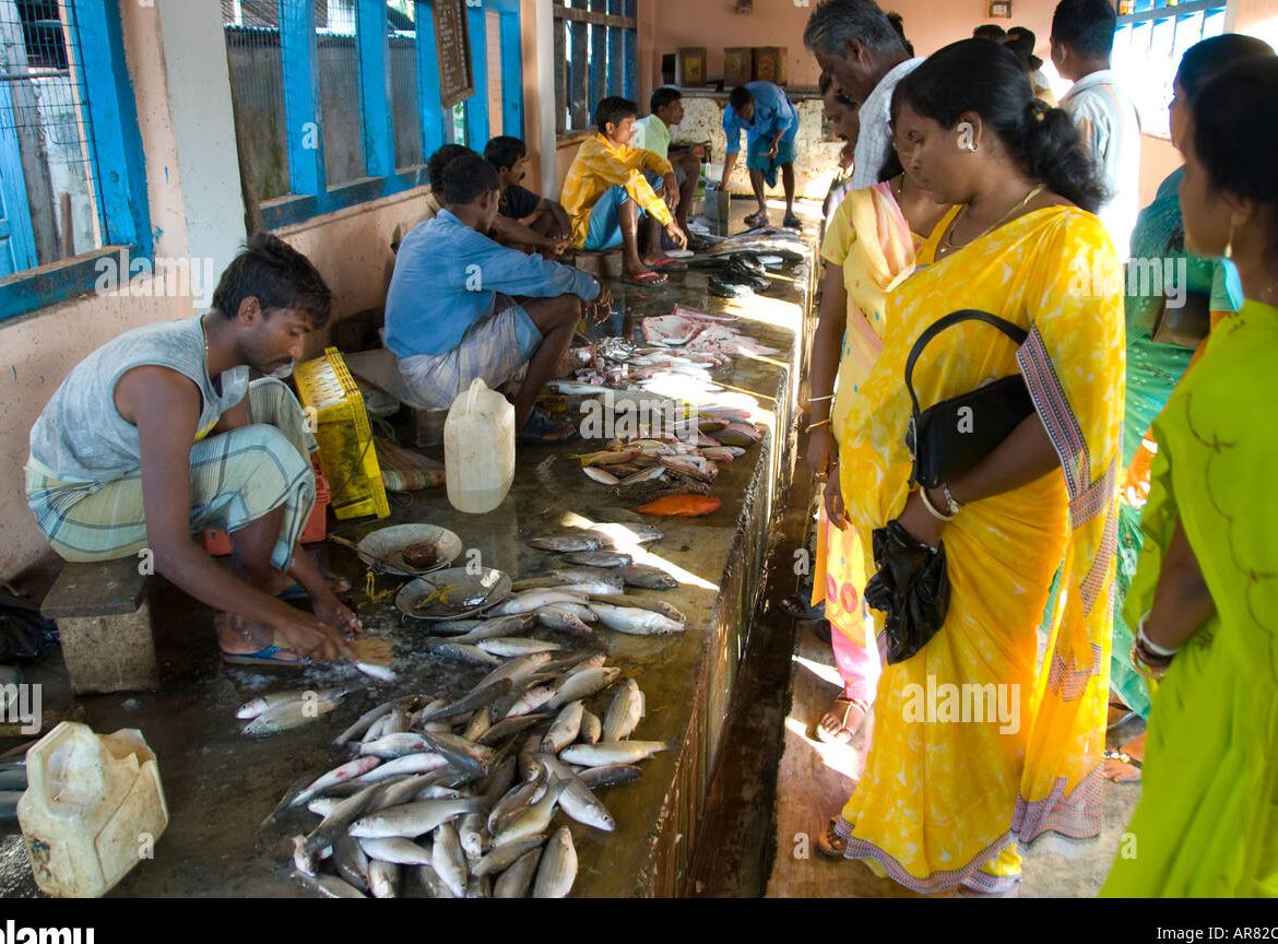 Andaman Fish Mart 1 andaman fish mart