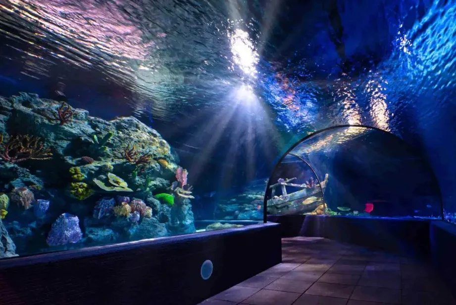 Ang Aquarium 1 ang aquarium