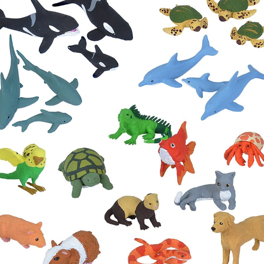 Aquatic & Pets 1 aquatic pets