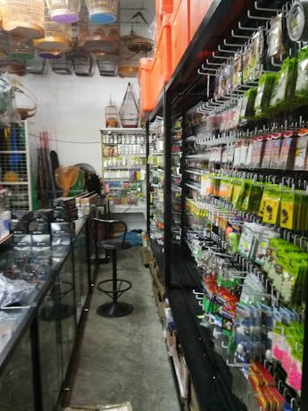 BJ Advanced Enterprise(kedai pancing & pet shop) 1 bj advanced enterprisekedai pancing pet shop
