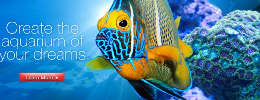 Blue Sky Aquarium & Pet Centre 1 blue sky aquarium pet centre