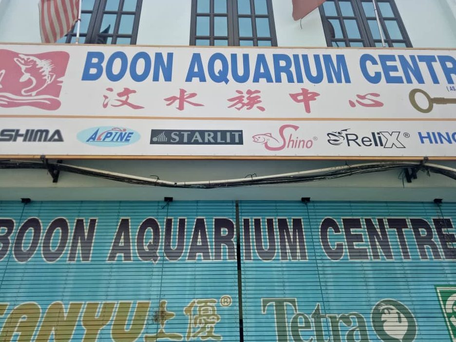 boon aquarium