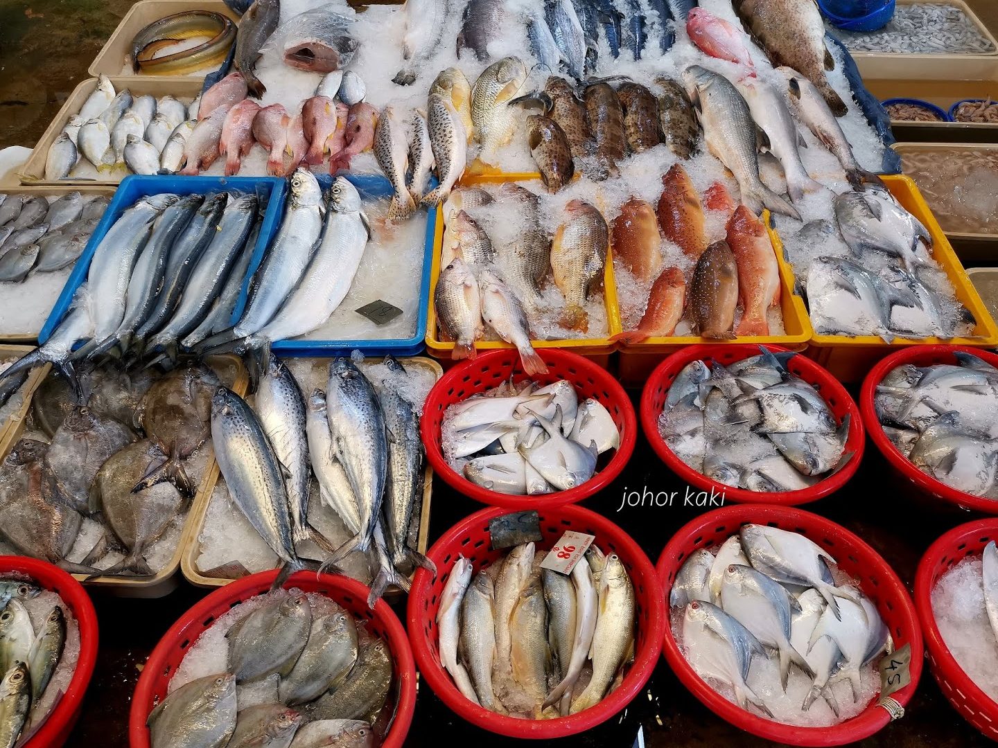 C&E FISH MERCHANT, Pontian, Johore. 1 ce fish merchant pontian johore