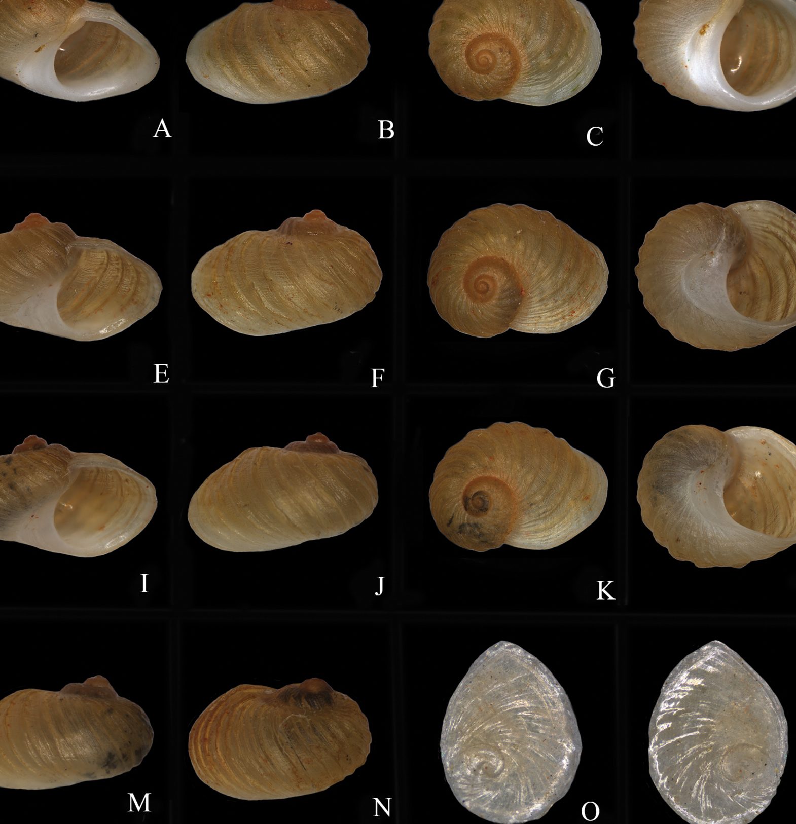 Cheng Gong Ao Xiang Aquarium 1 cheng gong ao xiang aquarium