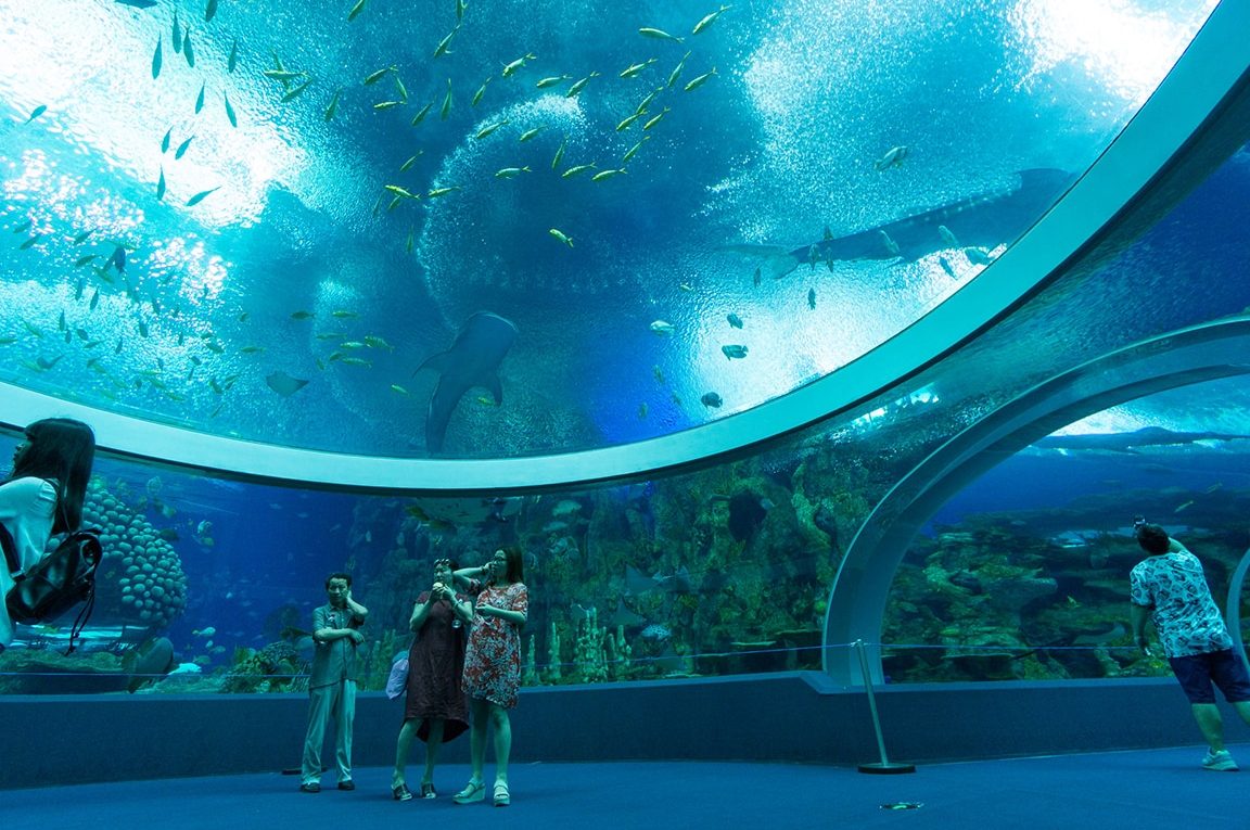 Chin Loong Aquarium 1 chin loong aquarium