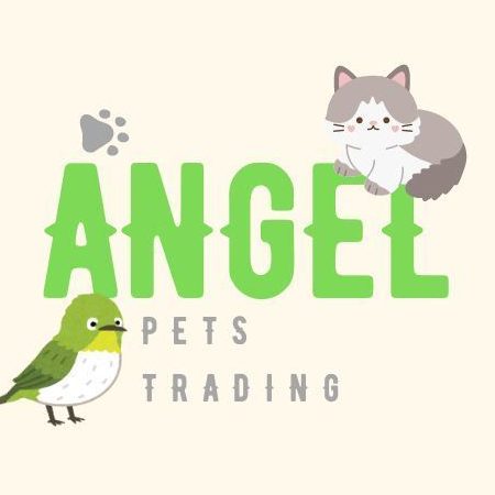 Chuang li bird farm 1 chuang li bird farm