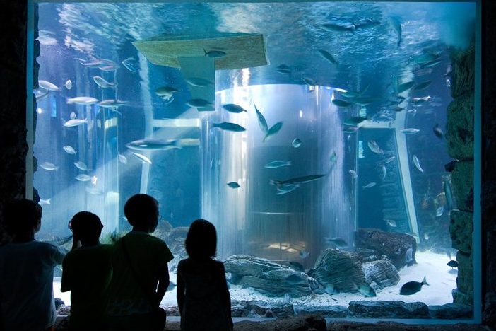 COLOUR WORLD AQUARIUM CENTRE 1 colour world aquarium centre