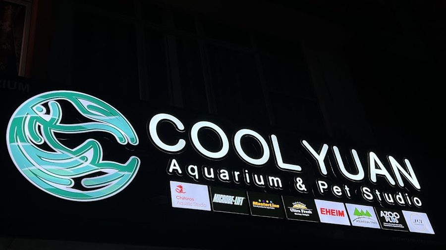 COOL YUAN AQUARIUM & PET STUDIO 1 cool yuan aquarium pet studio