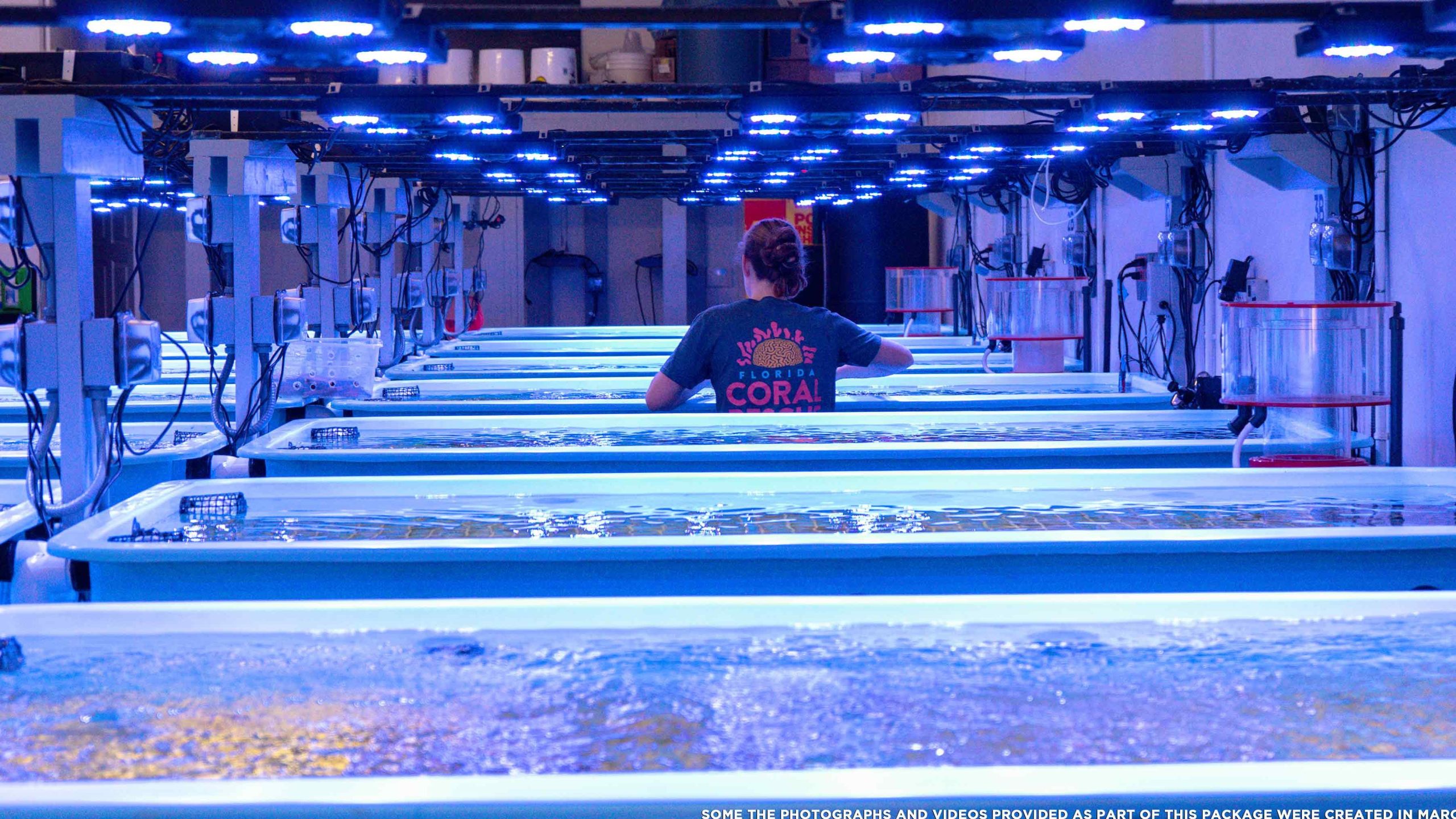 Coral Aquarium & Tackle Centre 1 coral aquarium tackle centre scaled