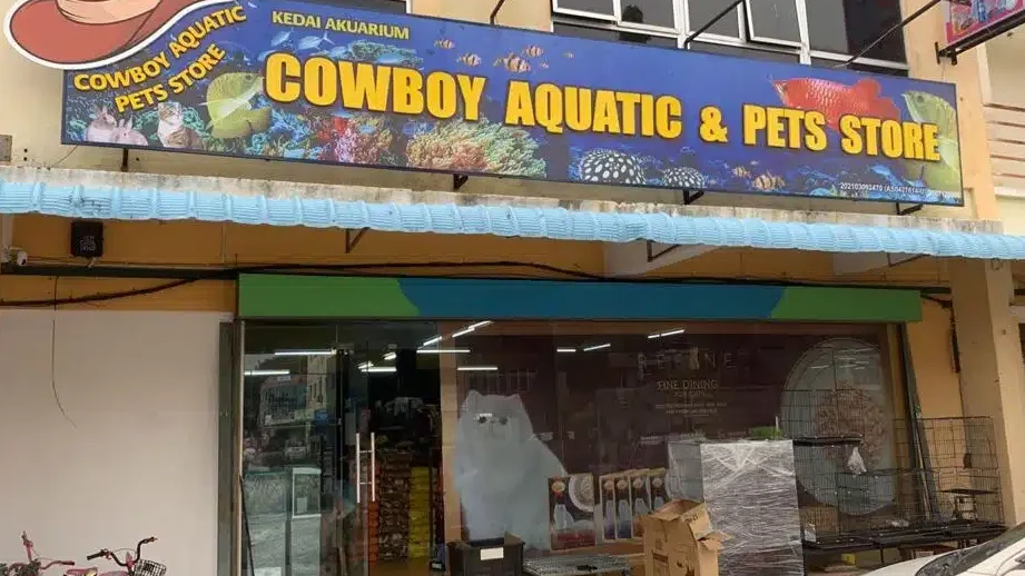 cowboy aquatic pets store