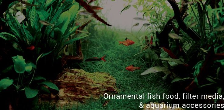 Daya Aquatics 1 daya aquatics