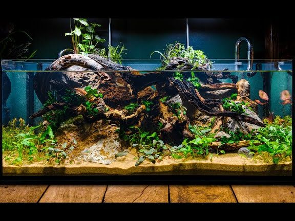 DIY Aquarium & Pets Centre 1 diy aquarium pets centre