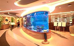 佳佳渔场 JIAJIA AQUARIUM 1 e4bdb3e4bdb3e6b894e59cba jiajia aquarium