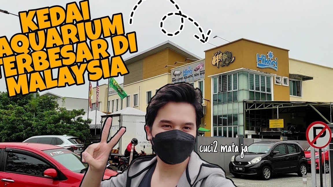 Elong Aquarium Sdn. Bhd. 1 elong aquarium sdn bhd