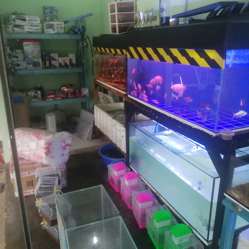 Kedai ikan hiasan dan barang