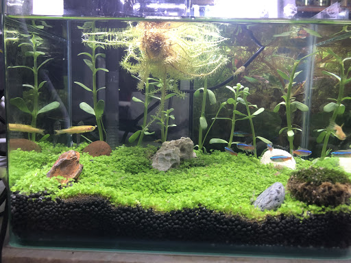 E-World Aquatic Sdn. Bhd.