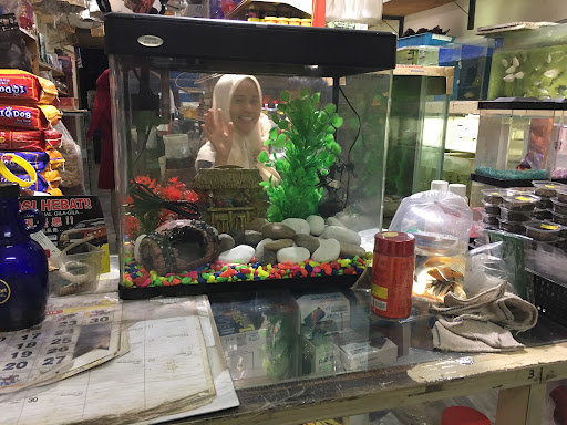 Nature Aquarium Corner