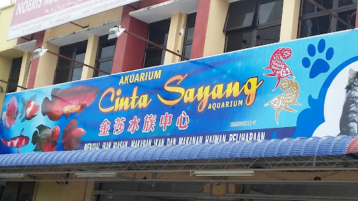 Cinta Sayang