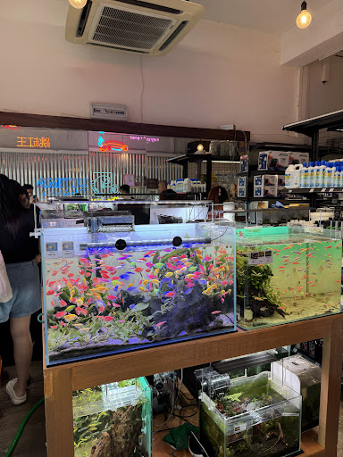 Ultima Channa Taman OUG (Aquarium Shop)