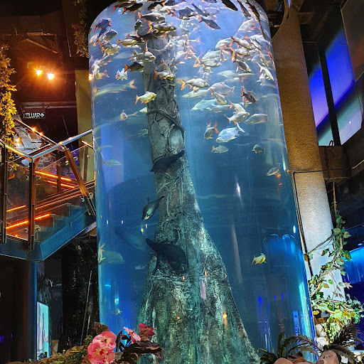 Aquaria KLCC