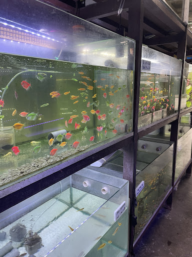 Cheras Aquarium