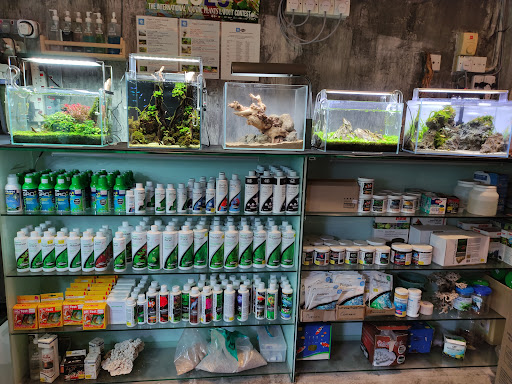 Natural Plant Aquarium