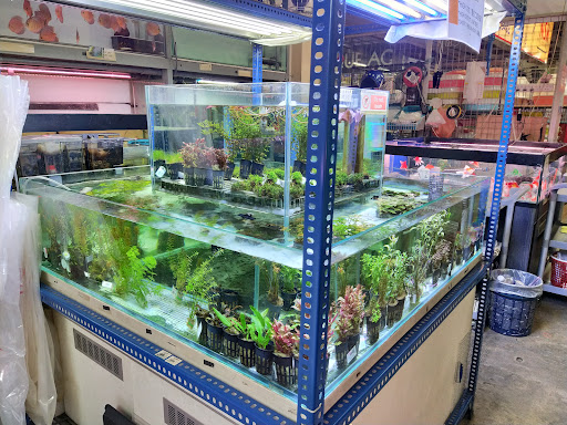 Unique Aquapets @ NSK Kuchai Lama