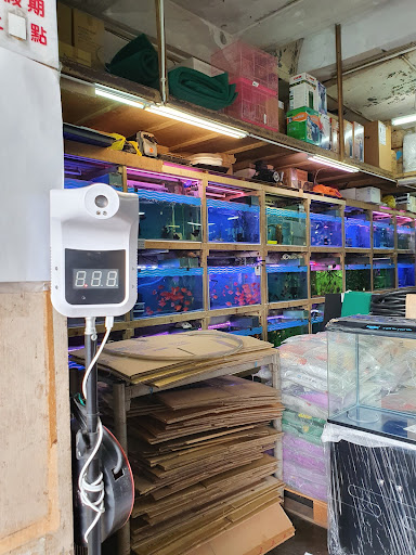 Pusat Aquatic Thye Lee Heng