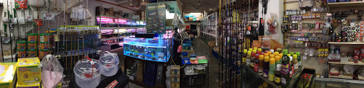 Aquarium Kosas Aquarium Kosas
