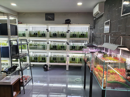 HWA's Shrimp Malaysia