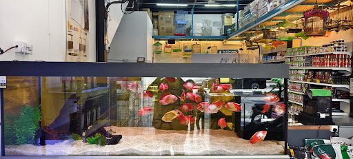 EK Pets & Aquarium