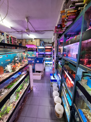Irene Aquarium & Pet Sdn. Bhd.