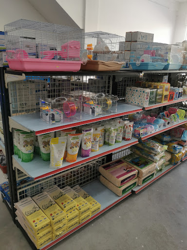 City Aquarium & Pet Shop