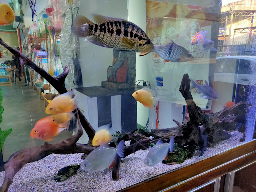 Ikia Aquaculture Technology Sdn Bhd