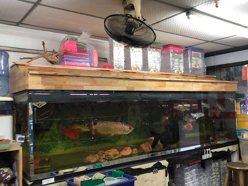 Ocean Aquarium Centre