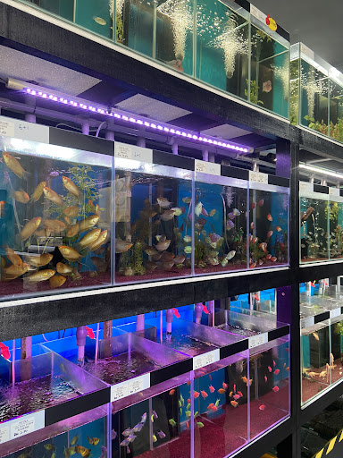 The One Aquatic Sdn. Bhd.