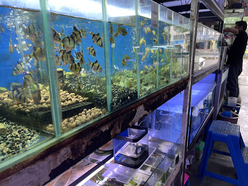 Malim Aquatic & Pets