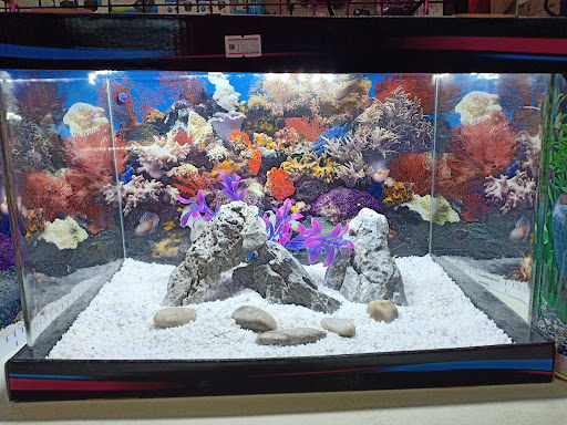 Siew Pet N Aquarium Centre