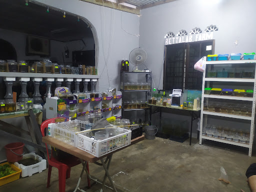BettaLab Farm Melaka