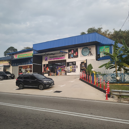 Cat Supermarket (Bukit Baru,Malacca)/ Pasaraya Kucing (Bukit Baru,Melaka)