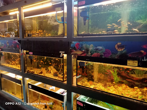 Aquarium & Pet Shop