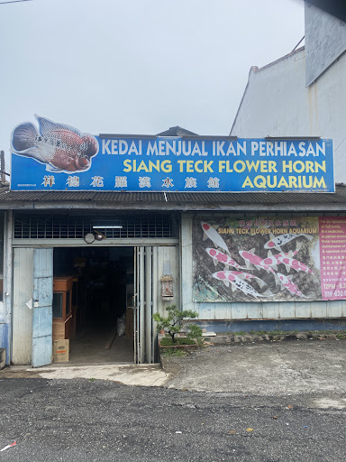 Siang Teck Flower Horn Aquarium