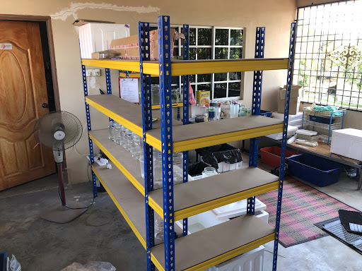 AFA PREMIUM GUPPYBETTA 2