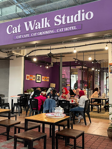 Cat Walk Studio