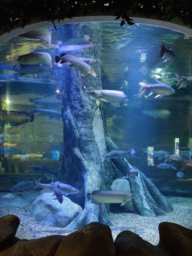 The Shore Oceanarium