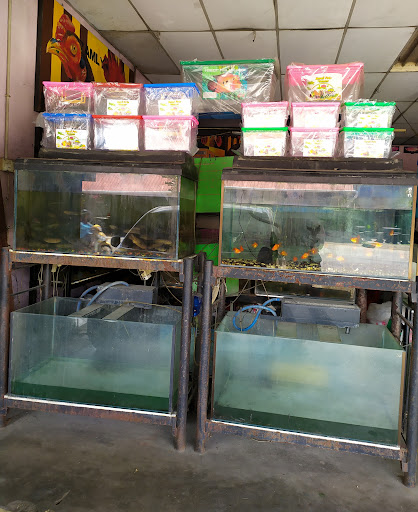 Kedai Ikan Hiasan Chempaka